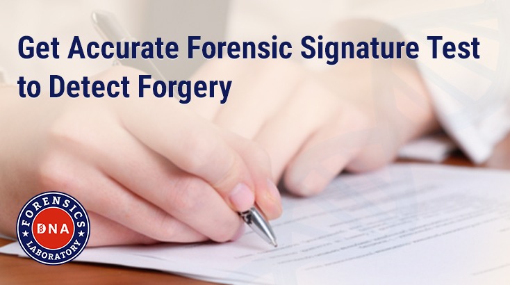 Signature Verification